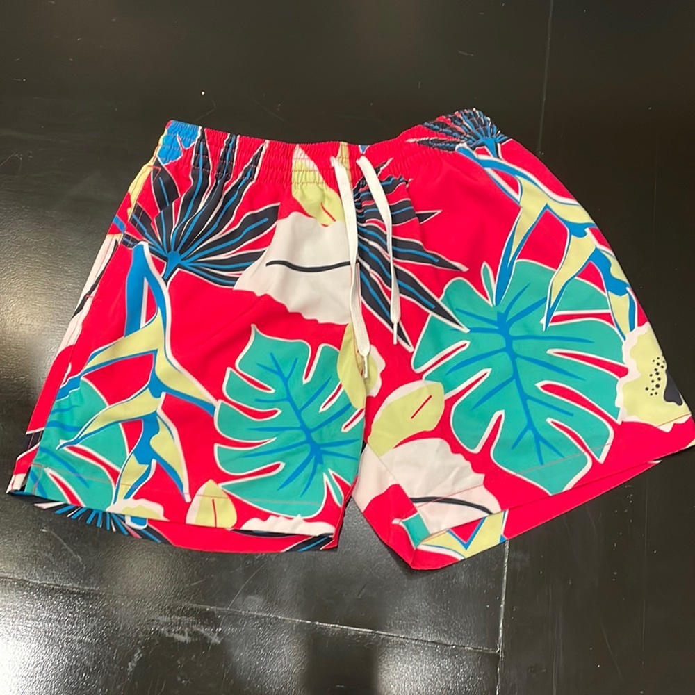 Chubbies swimsuit